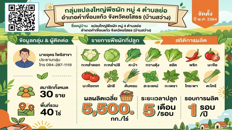 กลุ่มแปลงใหญ่พืชผัก บ้านสว่าง จังหวัดยโสธร