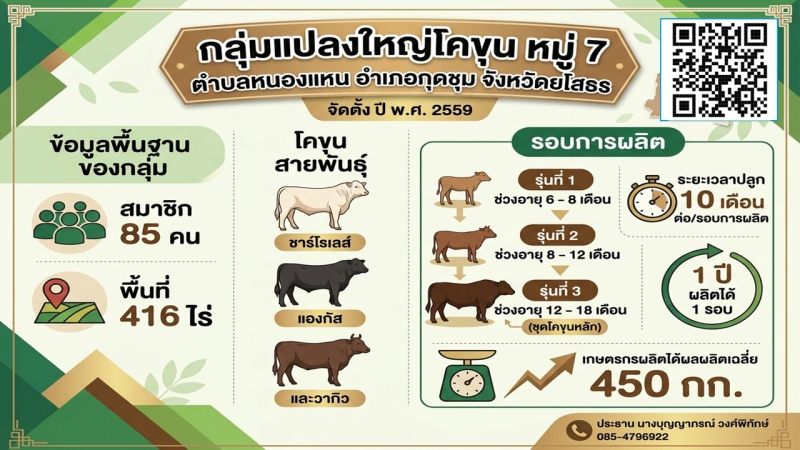กลุ่มแปลงใหญ่โคขุน