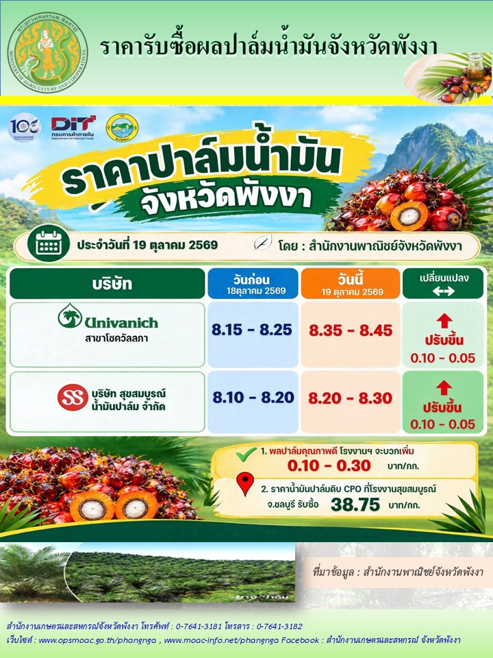 ราคารับซื้อผลปาล์มน้ำมันจังหวัดพังงา