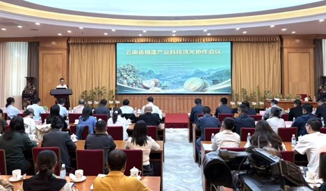 มณฑลยูนนานจัดประชุมความร่วมมือการวิจัยและพัฒนาเทคโนโลยีอุตสาหกรรมทุเรียนยูนนาน