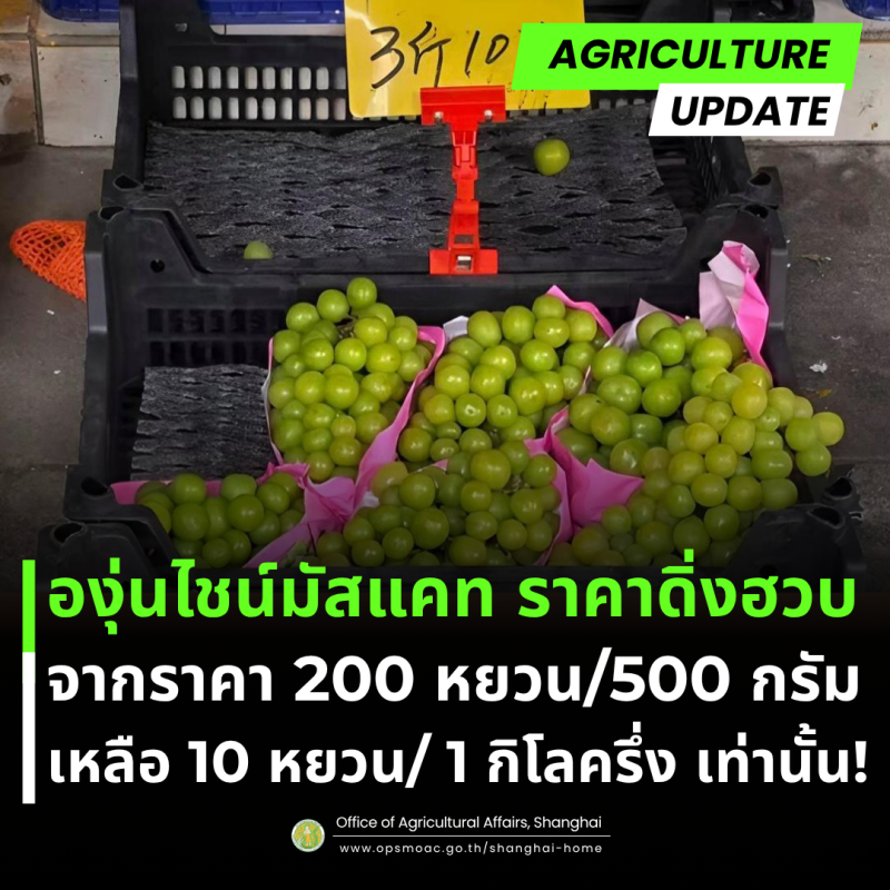 ทำอย่างไรให้“ผลไม้ยอดนิยม”ทำตลาดได้อย่างยั่งยืน