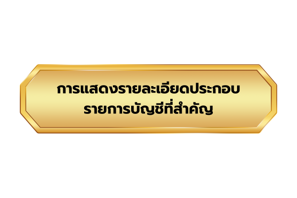 รายละเอียดประกอบรายการบัญชีที่สำคัญ
