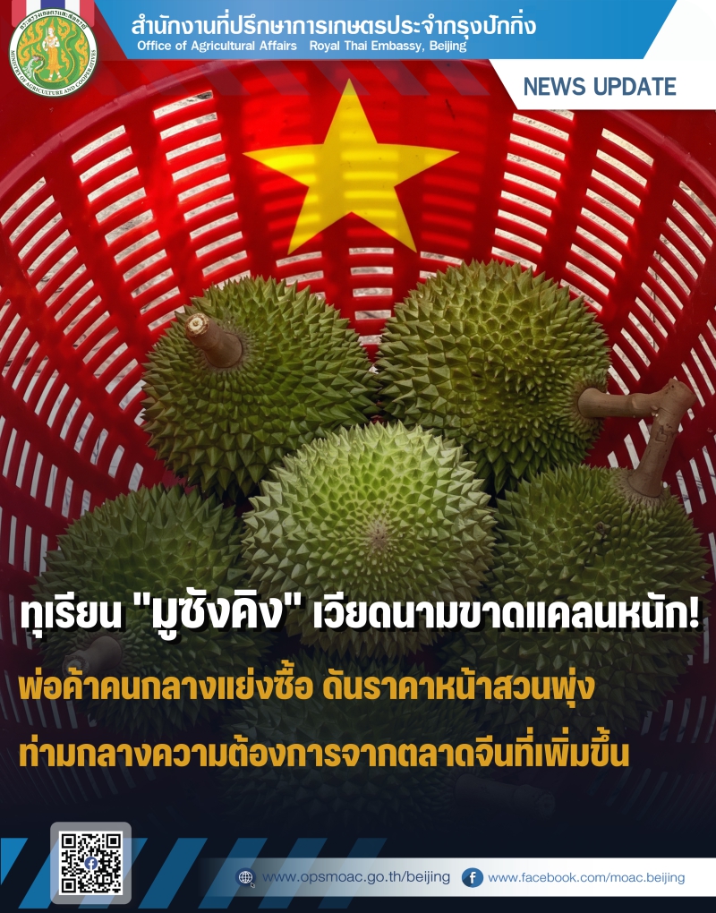 ทุเรียนมูซังคิงเวียดนามขาดแคลนหนัก!