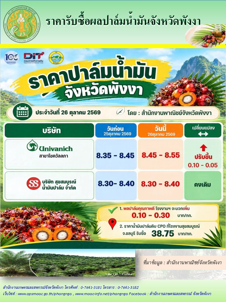 ราคารับซื้อผลปาล์มน้ำมันจังหวัดพังงา