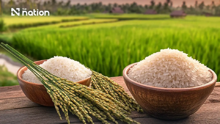 Thai rice festival showcases 15 GI varieties on October 24–25 at Paradise Park