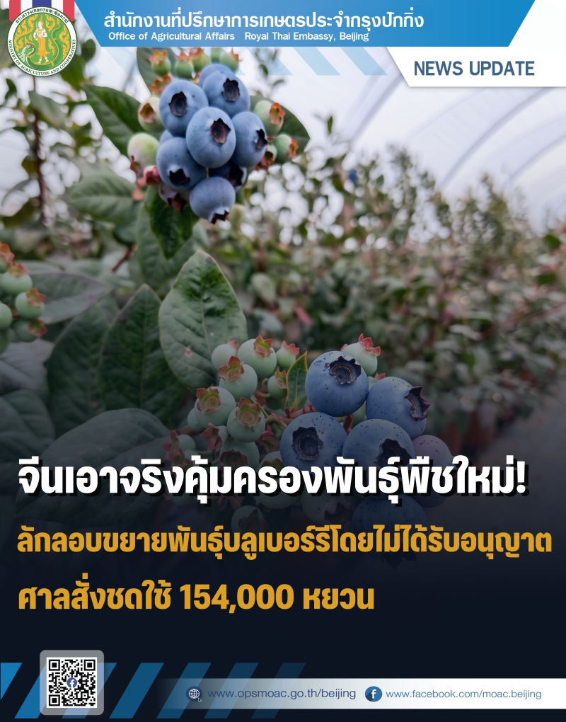จีนเอาจริงคุ้มครองพันธุ์พืชใหม่!
