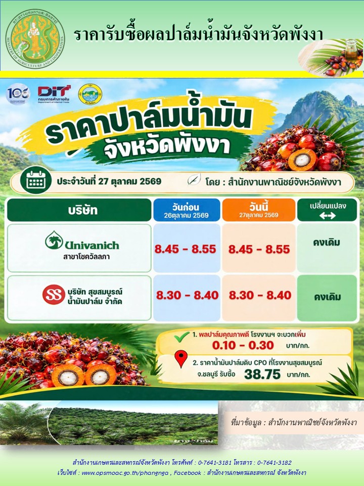 ราคารับซื้อผลปาล์มน้ำมันจังหวัดพังงา