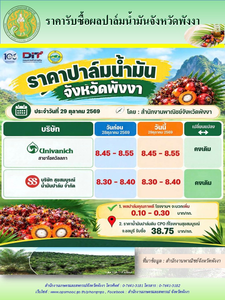 ราคารับซื้อผลปาล์มน้ำมันจังหวัดพังงา