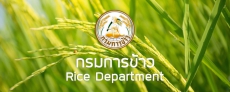 รับสมัครสอบแข่งขันเข้ารับราชการในตำแหน่งนักวิชาการพัสดุปฏิบัติการ