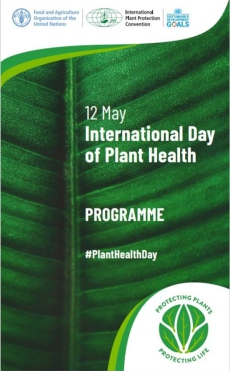 Happy International Day of Plant Health (IDPH) - 12 May 2023