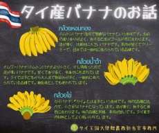 [PR]タイ産バナナのお話