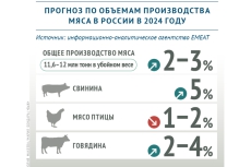 การคาดการณ์ปริมาณการผลิตเนื้อสัตว์ในปี 2024 ของรัสเซีย