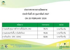 ราคากลางยางพารา ประจำวันที่ 20 กุมภาพันธ์ 2567