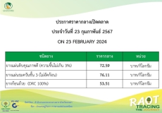 ราคากลางยางพารา ประจำวันที่ 23 กุมภาพันธ์ 2567
