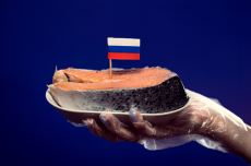 รัสเซียขึ้นแท่นเป็นผู้นำด้านการผลิตปลาแซลมอน