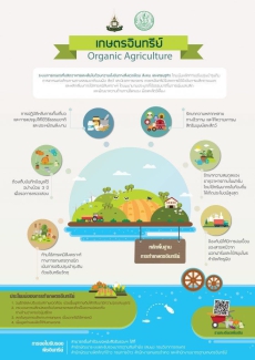 เกษตรอินทรีย์ Organic Agriculture