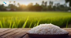 ‘Thai Rice’ wins praise at Dubai international food exhibition
