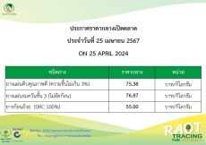 ราคากลางยางพารา ประจำวันที่ 25 เมษายน 2567