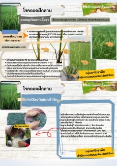 โรคถอดฝักดาบ