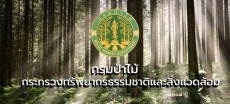 กรมป่าไม้รับสมัครสอบแข่งขันเพื่อบรรจุบุคคลเข้ารับราชการในตำแหน่งนักวิชาการป่าไม้ปฏิบัติการ