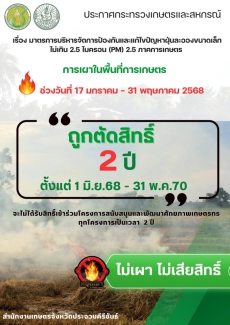 กระทรวงเกษตรฯออกมาตรการป้องกันการเผาในพื้นที่การเกษตร