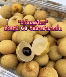 ลำไยนำเข้าเปิดตัวจำหน่ายก่อนฤดูกาล