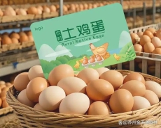 แนวโน้มและการตลาดไข่ไก่ในจีน