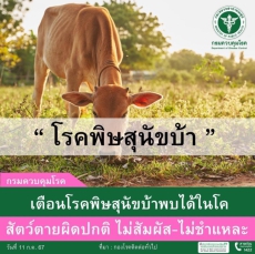 กรมควบคุมโรค เตือนโรคพิษสุนัขบ้าพบได้ในโค