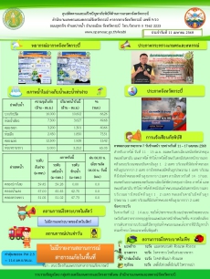 สภาพอากาศ และสถานการณ์โรคระบาดในพืช วันที่ 11 เมษายน 2568