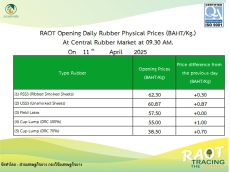ราคากลางยางพารา ประจำวันที่ 11 เมษายน 2568