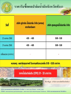 ราคารับซื้อผลปาล์มน้ำมันจังหวัดพังงา