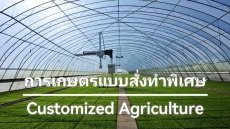 เกษตรแบบสั่งทำพิเศษ: