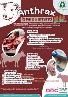 โรคแอนเเทรกซ์