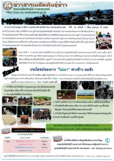 ข่าวสารเมล็ดพันธุ์ข้าว