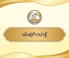 พันธุ์ข้าวน่ารู้