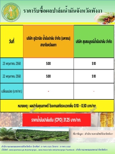 ราคารับซื้อผลปาล์มน้ำมันจังหวัดพังงา