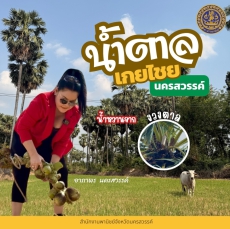 น้ำตาลเกยไชย (สินค้าว่าที่ GI)