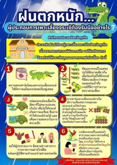 ฝนตกหนักผู้ประกอบการเพาะเลี้ยงจระเข้ต้องรับมืออย่างไร