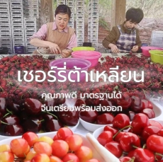 เชอร์รี่ต้าเหลียนเปิดตัวในฮ่องกง