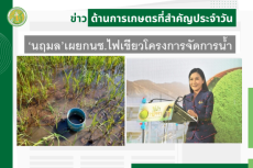 สรุปข่าวด้านการเกษตรที่สำคัญประจำวันที่ 28 พฤษภาคม 2568