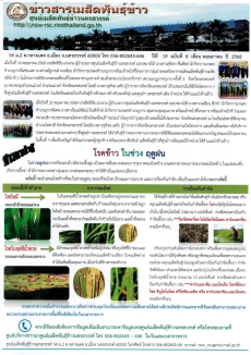 ข่าวสารเมล็ดพันธุ์ข้าว