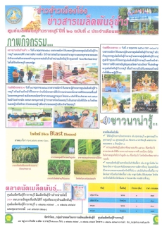 ประชาสัมพันธ์ข่าวข้าวเมืองโอ่ง