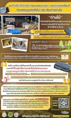 เผาถ่านไม้ค้าถ่านไม้ครอบครองถ่านไม้