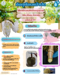 เกษตรปราจีนบุรีมีสาระหน่ารู้ดีๆมาฝากทุกท่านค่ะตัดทุเรียนหน้าฝน