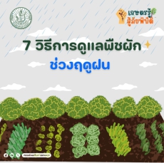 7 วิธีการดูแลพืชผักช่วงฤดูฝน