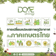 Climate Change กระทบภาคเกษตรไทยอย่างไร