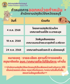 ออกหน่วยบริการทำหมันและฉีดวัคซีนสุนัขและแมว