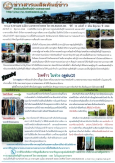 ข่าวสารเมล็ดพันธุ์ข้าว