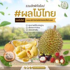 รวมฮิตพิกัดช็อปผลไม้ไทยบนเว็บไซต์www.ตลาดเกษตรกรออนไลน์.com