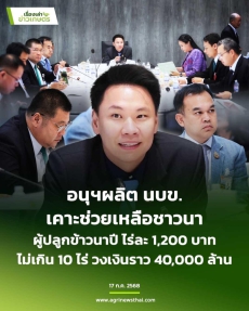 อนุกรรมการนบข.(ด้านการผลิต)เคาะช่วยเหลือชาวนาผู้ปลูกข้าวนาปี